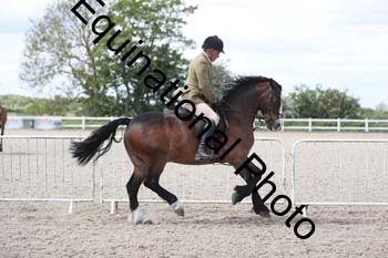 EMY-1704