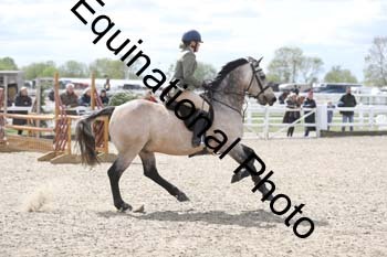 EMY-1751