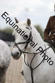 EMY-1892