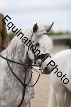 EMY-1899
