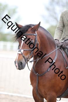 EMY-1911