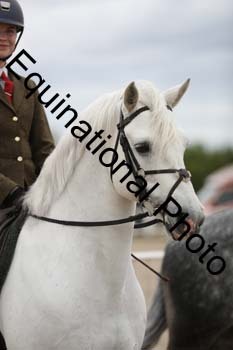 EMY-1936