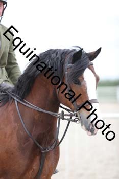 EMY-1942