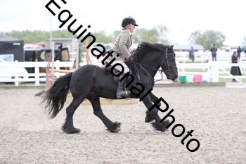 EMY-2039