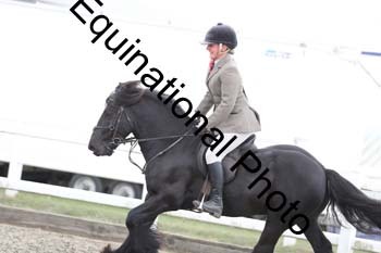 EMY-2046
