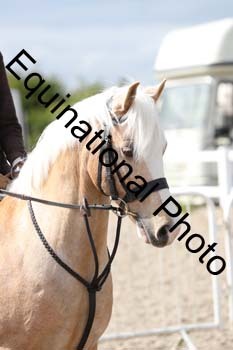 EMY-2196