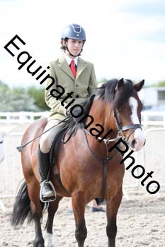 EMY-2219