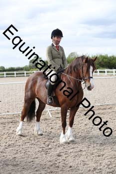 EMY-2238