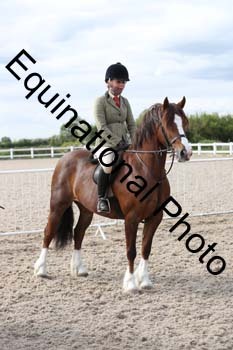 EMY-2239