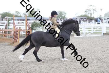 EMY-2327