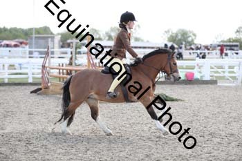 EMY-2361