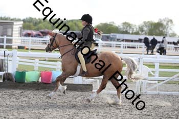EMY-2375