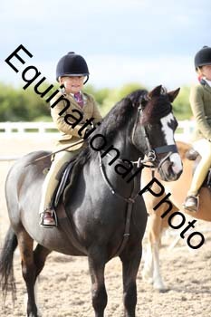 EMY-2381