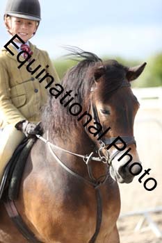 EMY-2391