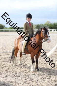 EMY-2398