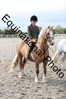 EMY-2411