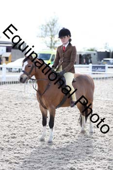 EMY-2416