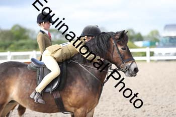 EMY-2429