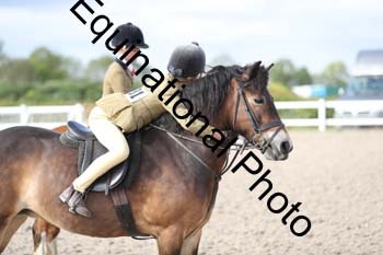 EMY-2431