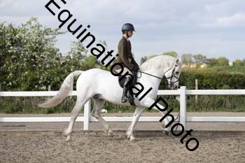 EMY-2450
