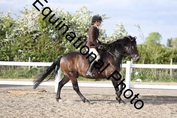 EMY-2460