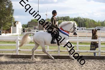 EMY-2531