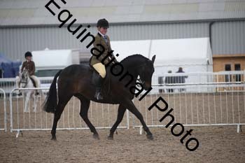 JKR-2008