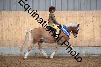 APP-1253
