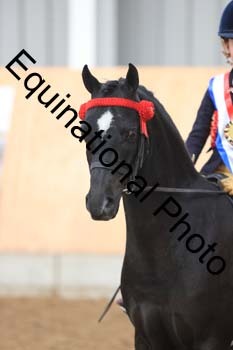 APP-1478
