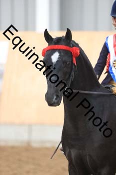 APP-1479