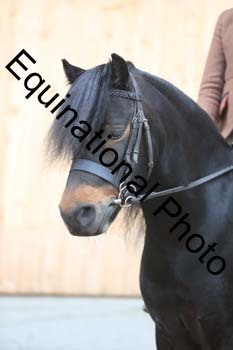 APP-2375