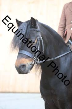 APP-2376
