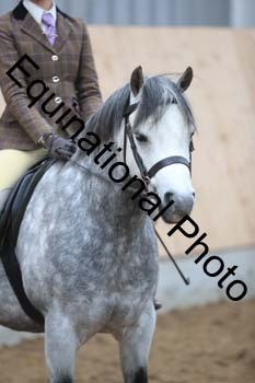 APP-2390