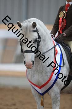 APP-2407