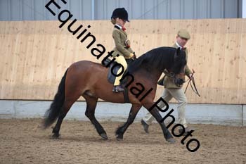 APP-2449