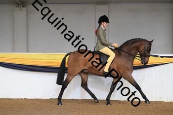 COF-1020