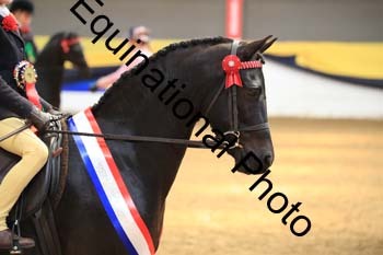 COF-1487