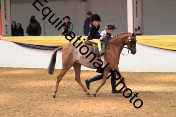 COF-1568