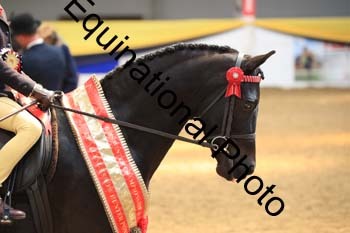 COF-1609