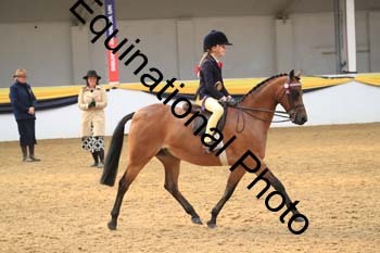 COF-2007