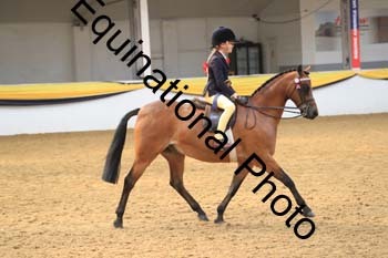 COF-2008