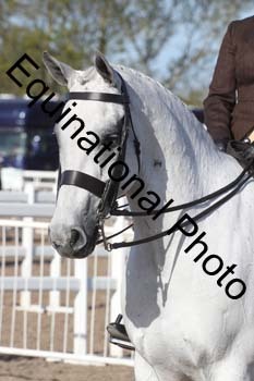 OBA-1098