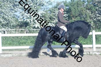 EXT-007