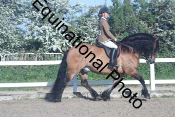 EXT-013