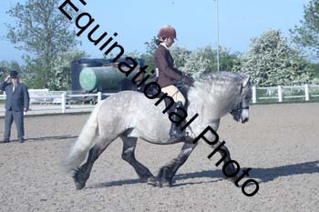 EXT-024