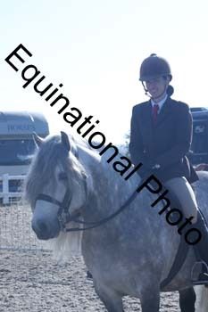 EXT-037