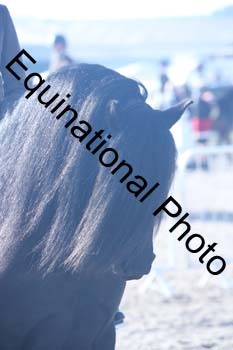 EXT-051
