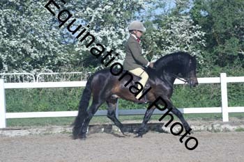 EXT-071