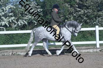 EXT-078