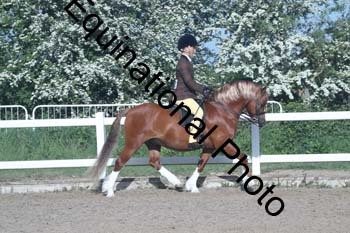 EXT-083